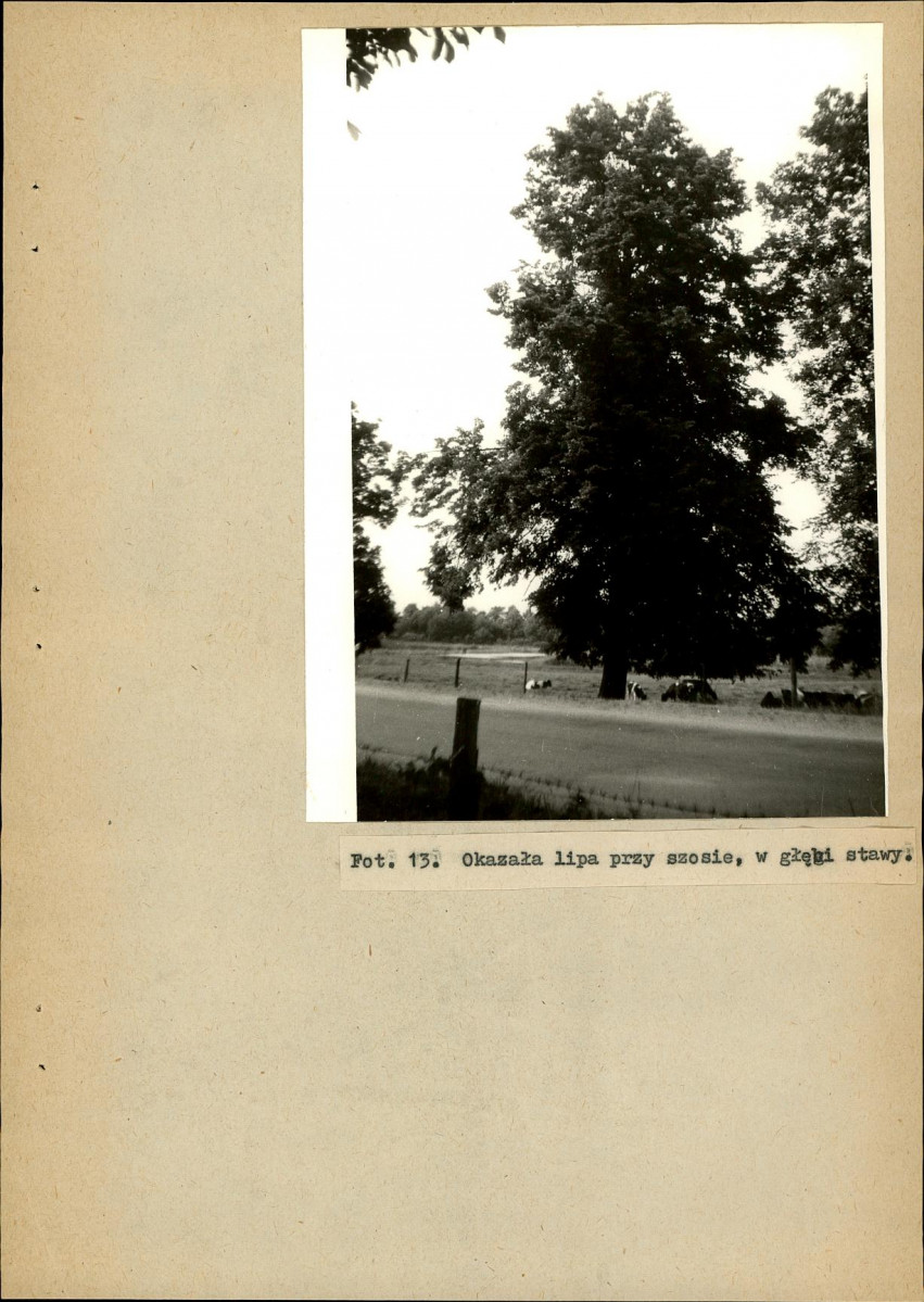 EP - Ewidencja parkowa, skan nr 39