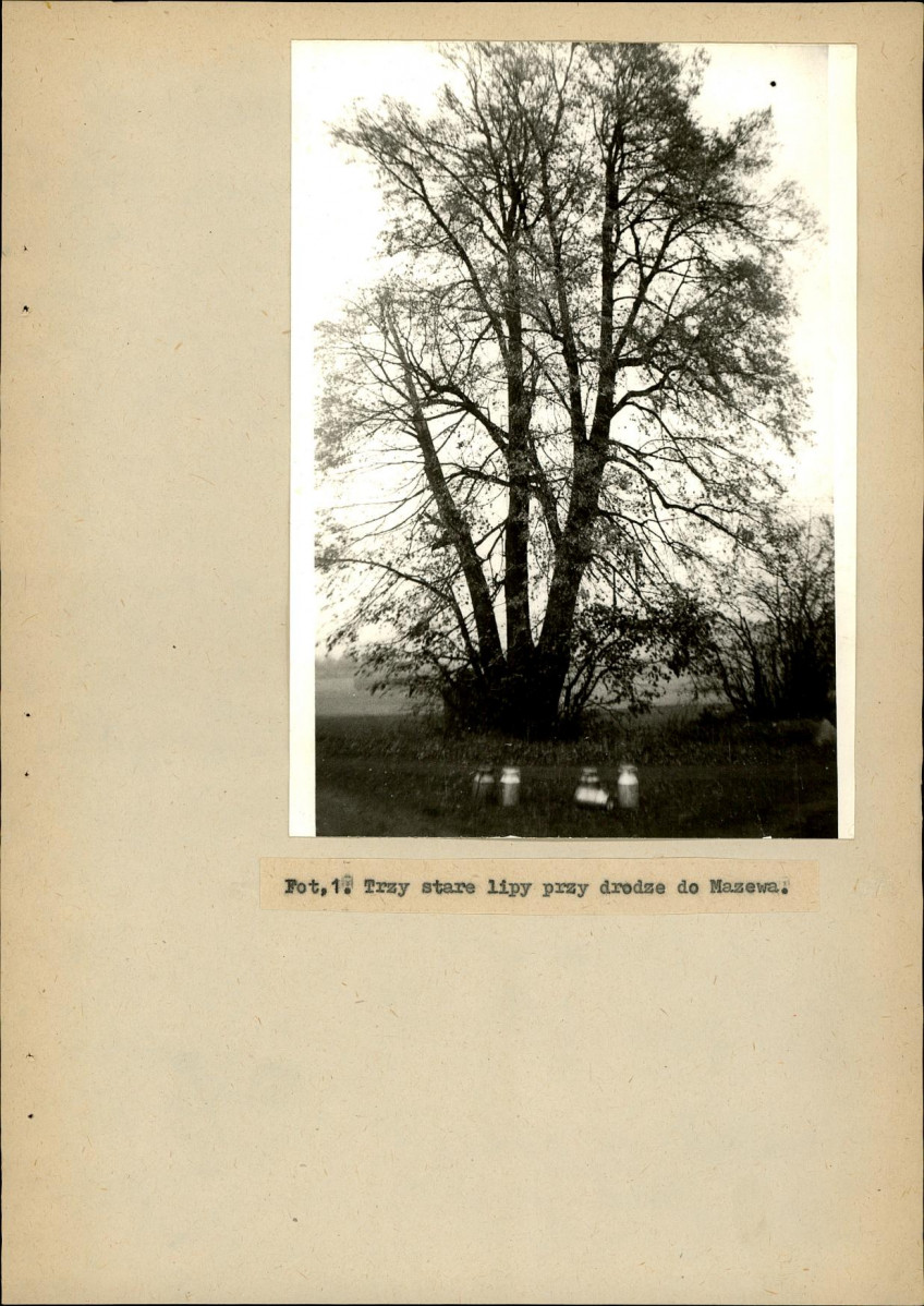 EP - Ewidencja parkowa, skan nr 21