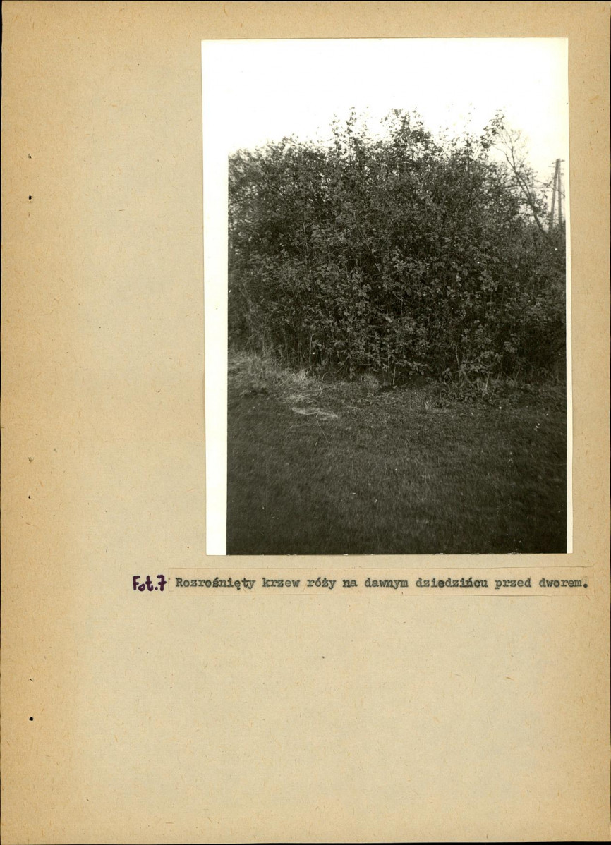 EP - Ewidencja parkowa, skan nr 27