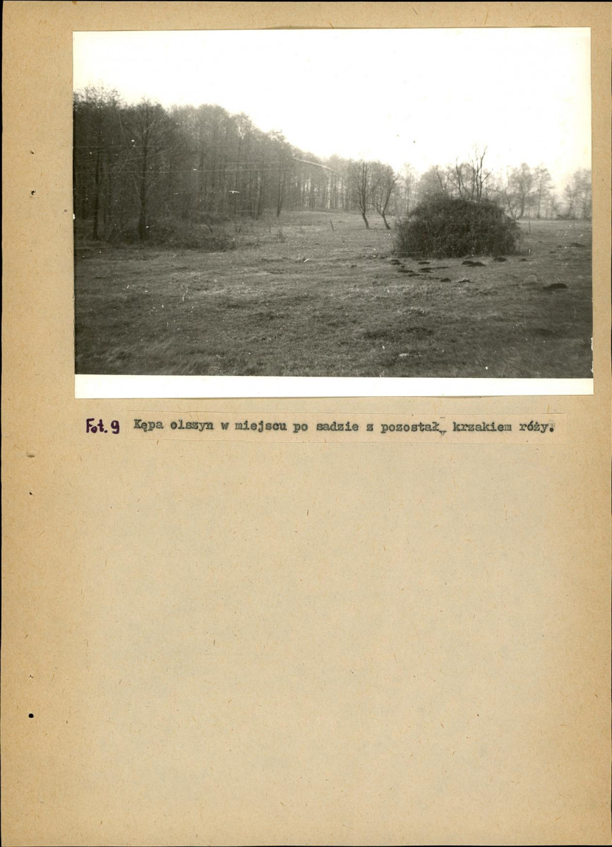 EP - Ewidencja parkowa, skan nr 29