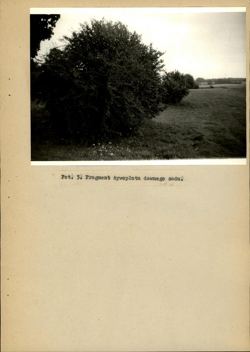 Ewidencja parkowa, skan nr 26