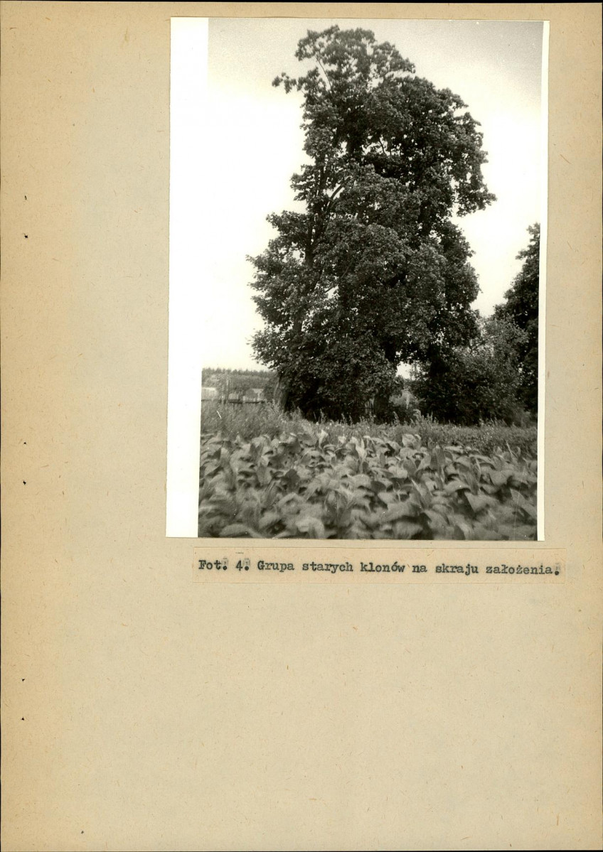 Ewidencja parkowa, skan nr 27