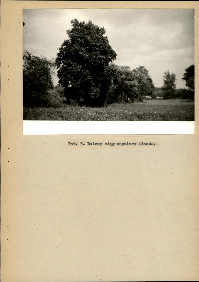 Ewidencja parkowa, skan nr 28