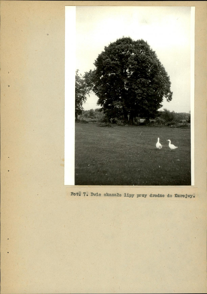 Ewidencja parkowa, skan nr 30