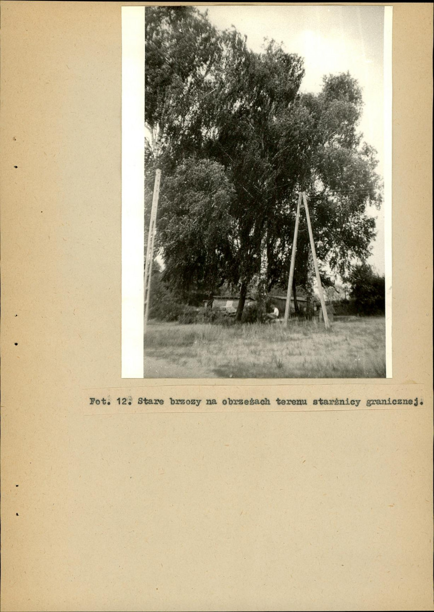 Ewidencja parkowa, skan nr 35