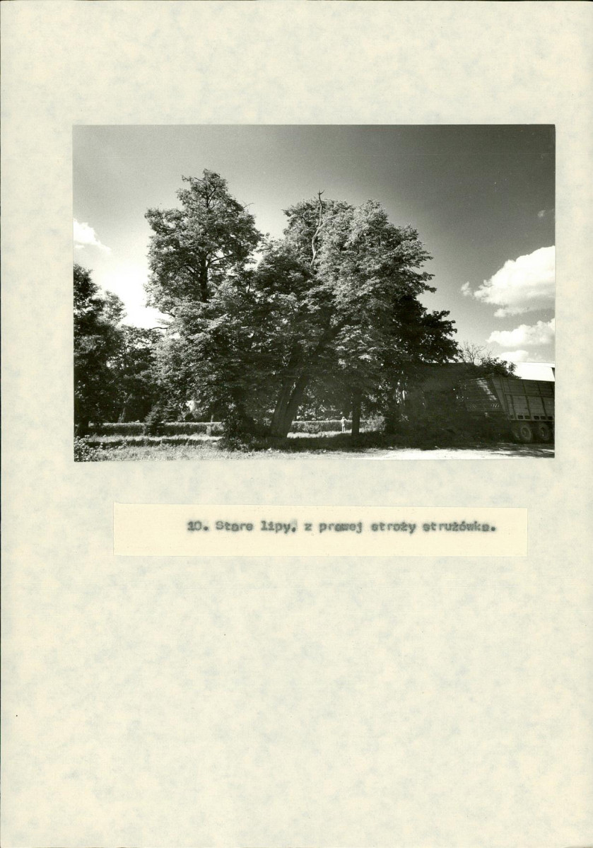 Ewidencja parkowa, skan nr 38