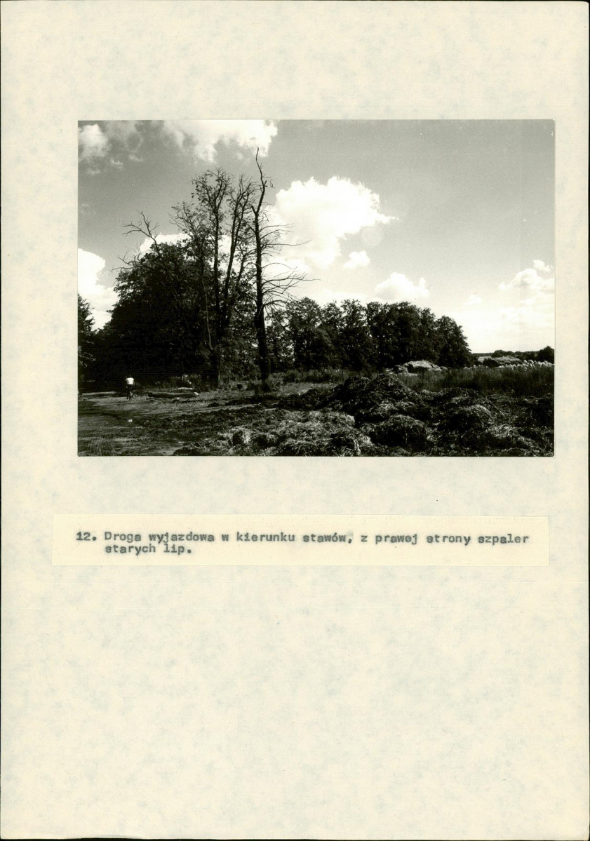 Ewidencja parkowa, skan nr 40