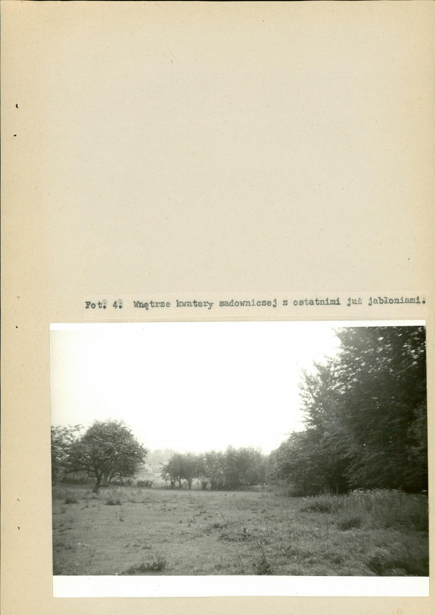 EP - Ewidencja parkowa, skan nr 32