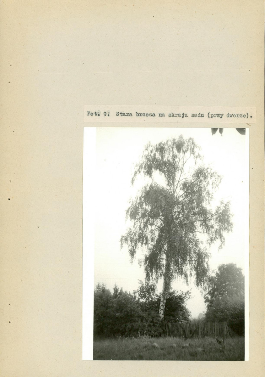 EP - Ewidencja parkowa, skan nr 37