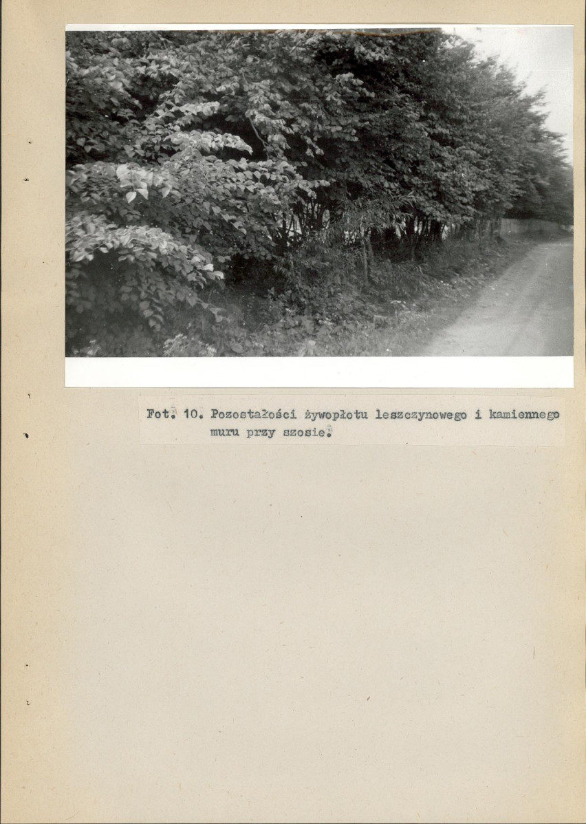 EP - Ewidencja parkowa, skan nr 38