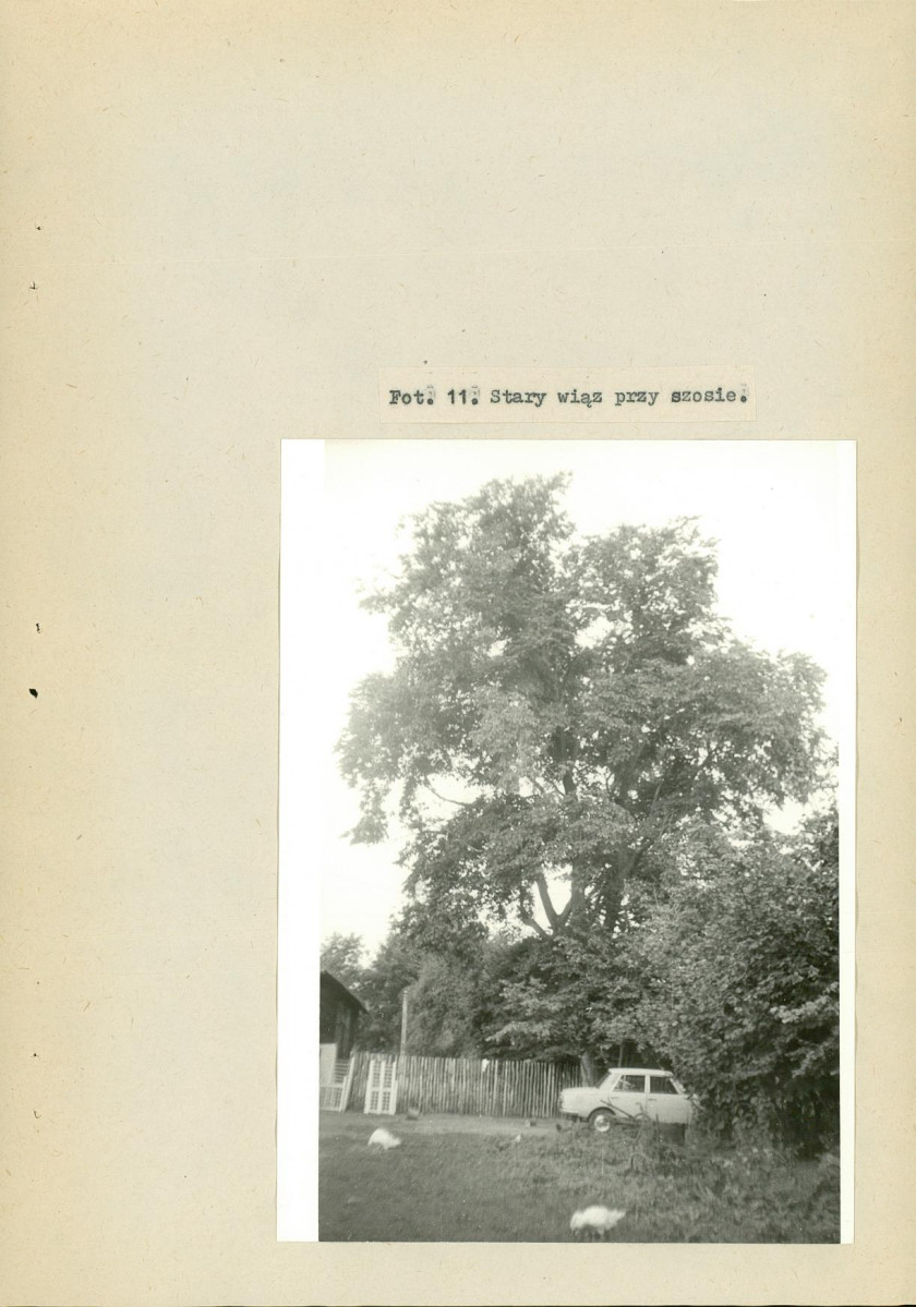 EP - Ewidencja parkowa, skan nr 39