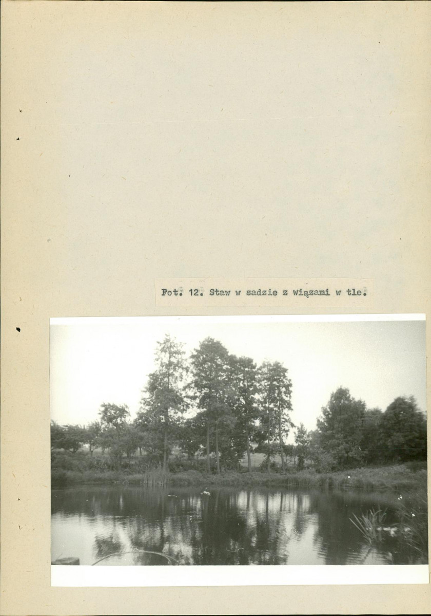 EP - Ewidencja parkowa, skan nr 40