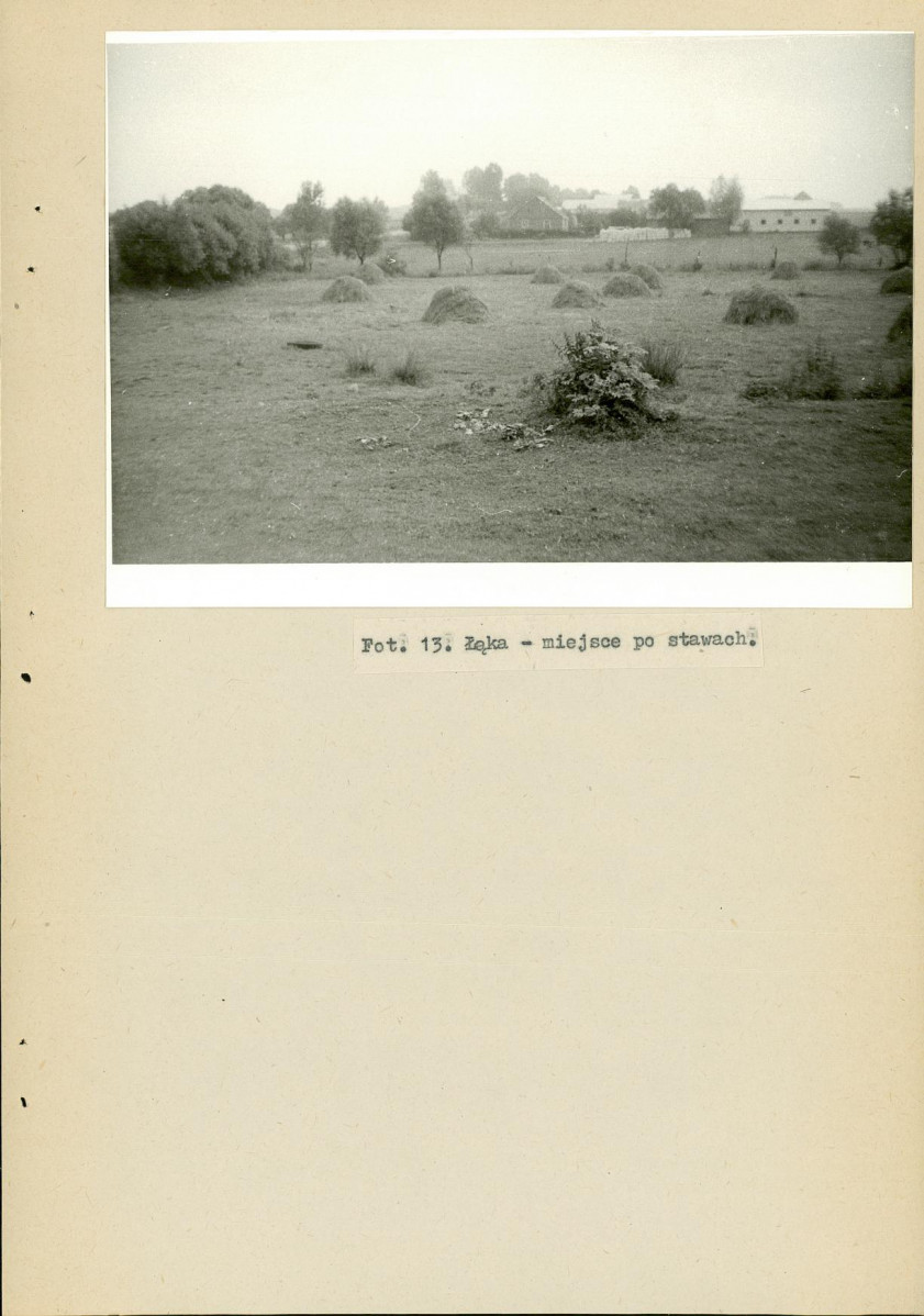 EP - Ewidencja parkowa, skan nr 41