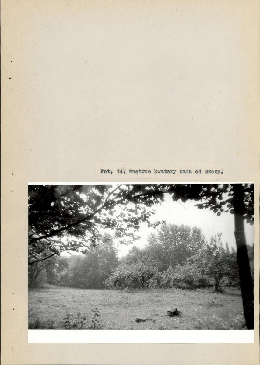 EP - Ewidencja parkowa, skan nr 42