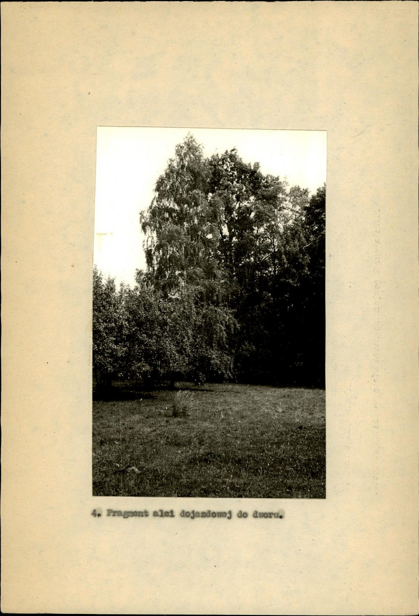 EP - Ewidencja parkowa, skan nr 26