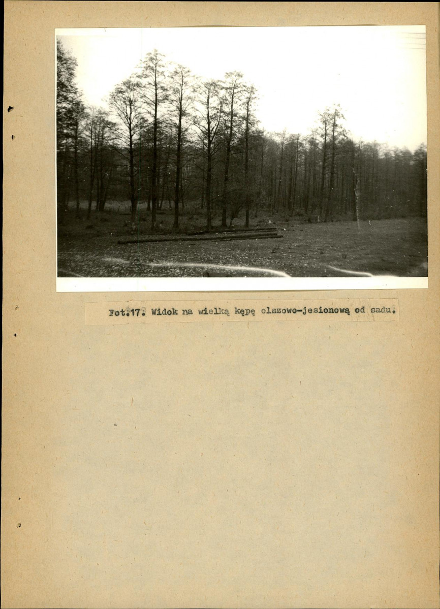 EP - Ewidencja parkowa, skan nr 40