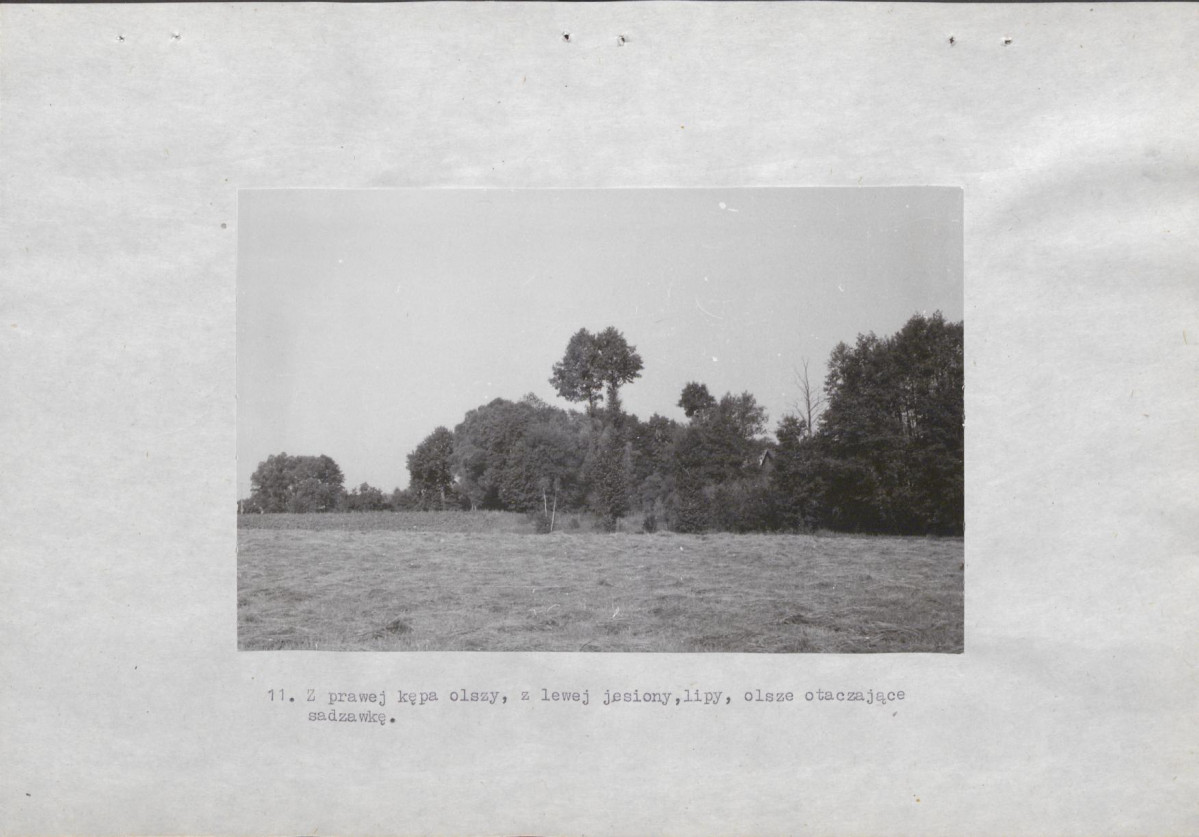 Ewidencja parkowa, skan nr 39