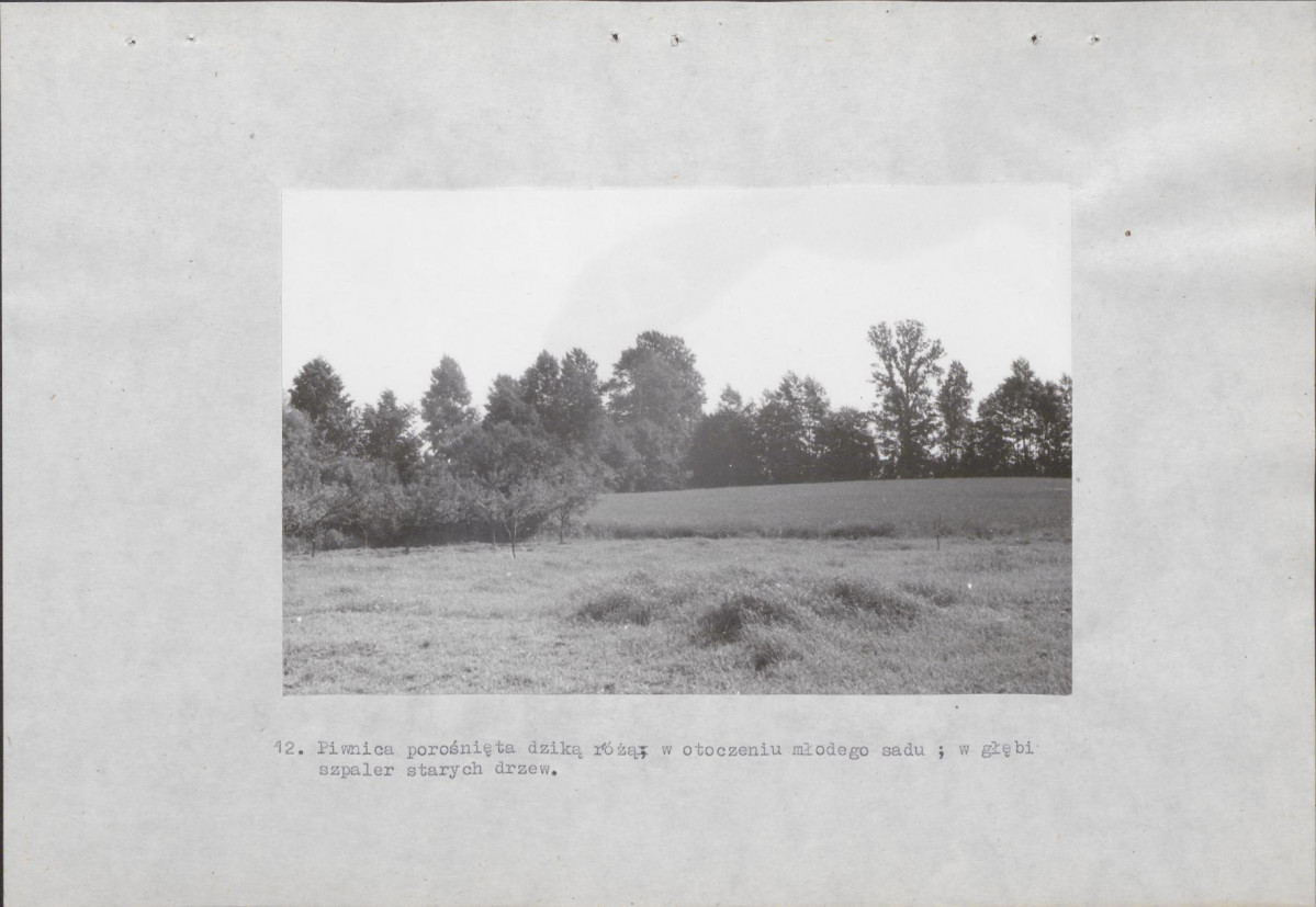 Ewidencja parkowa, skan nr 40