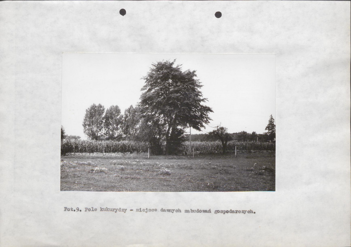 Ewidencja parkowa, skan nr 36