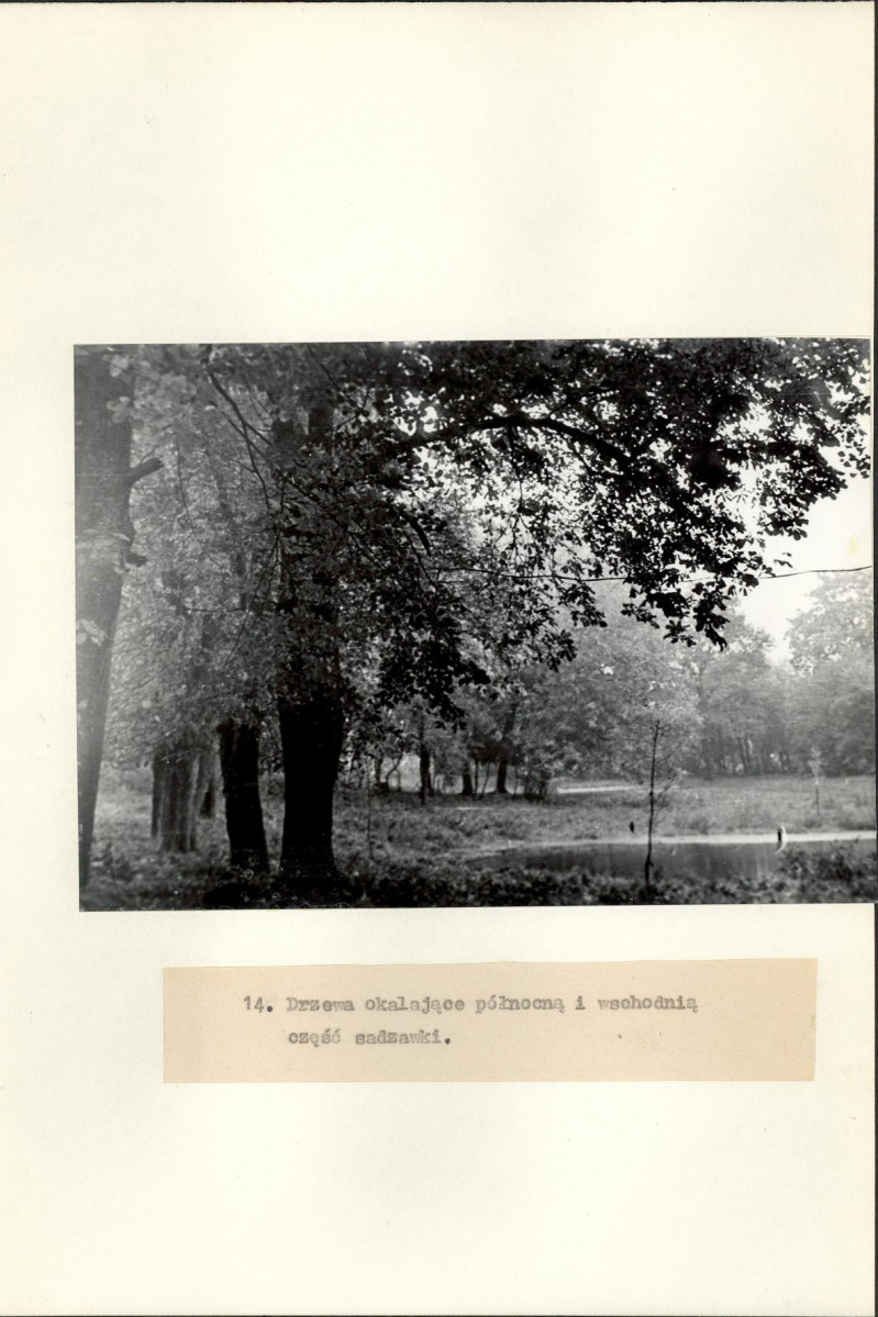 Ewidencja parkowa, skan nr 30