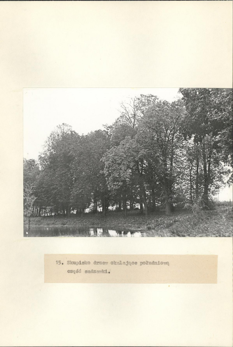 Ewidencja parkowa, skan nr 31