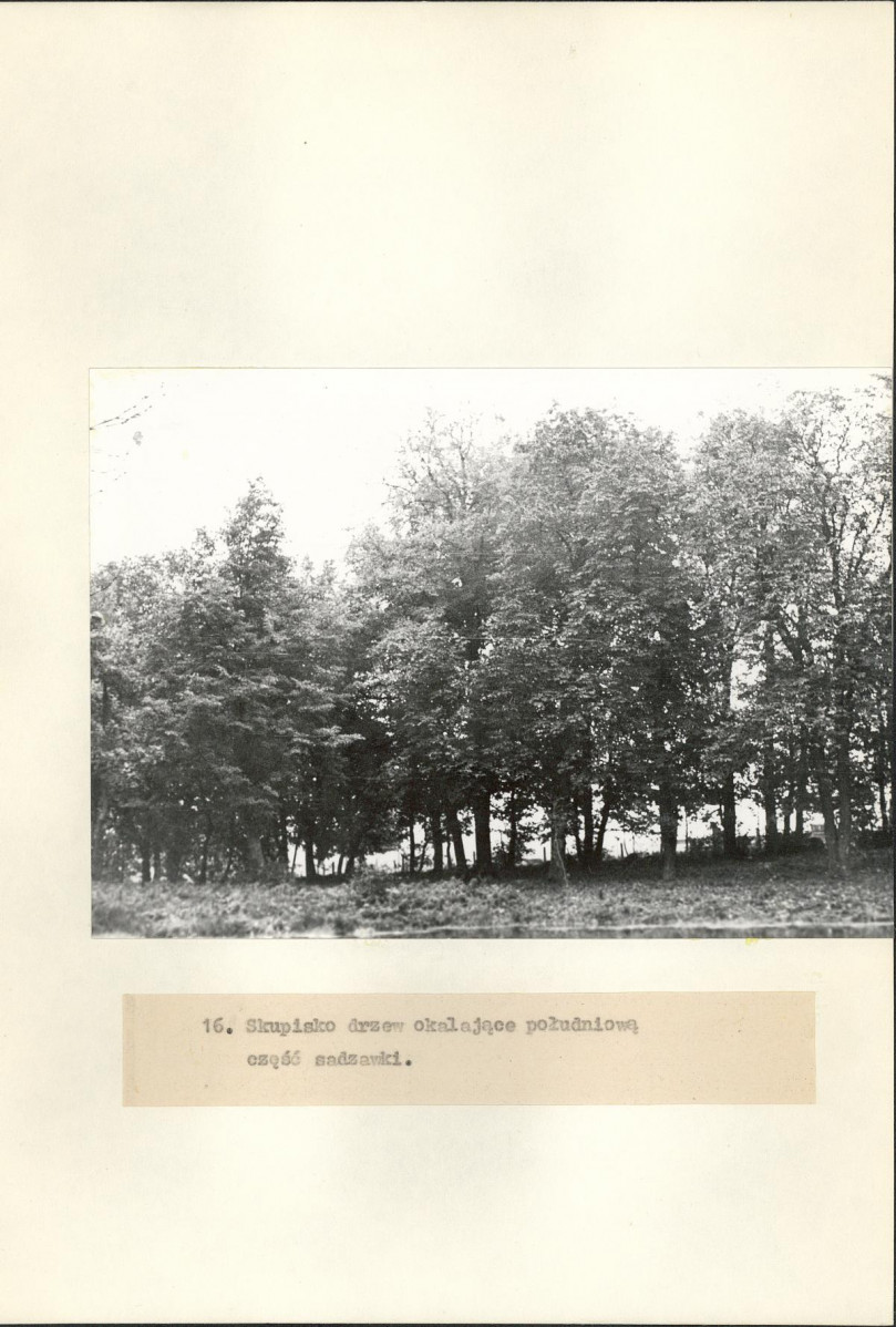 Ewidencja parkowa, skan nr 32