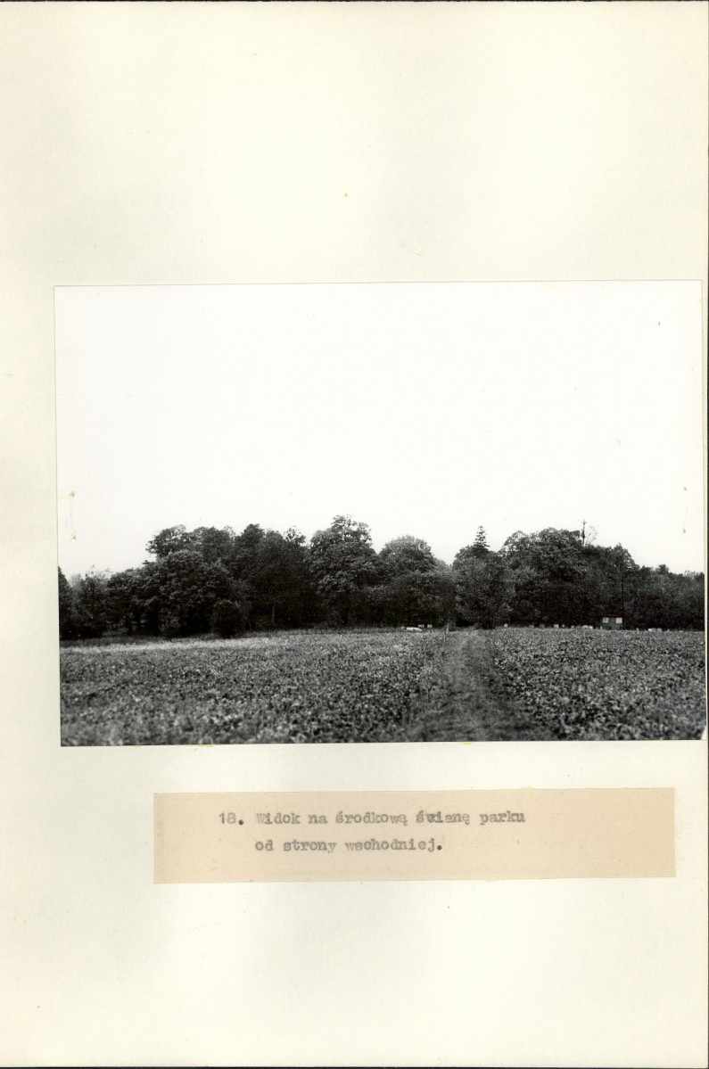 Ewidencja parkowa, skan nr 34
