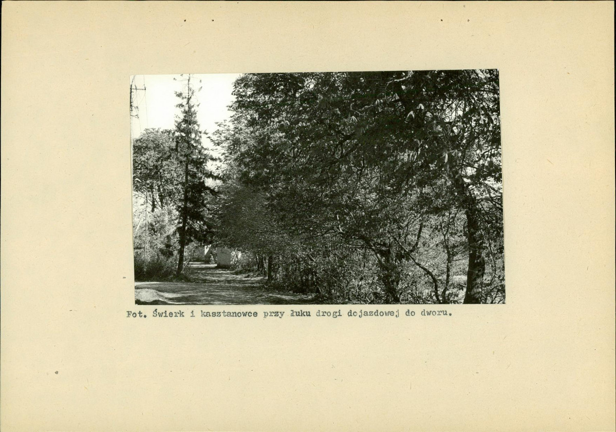 EP - Ewidencja parkowa, skan nr 31