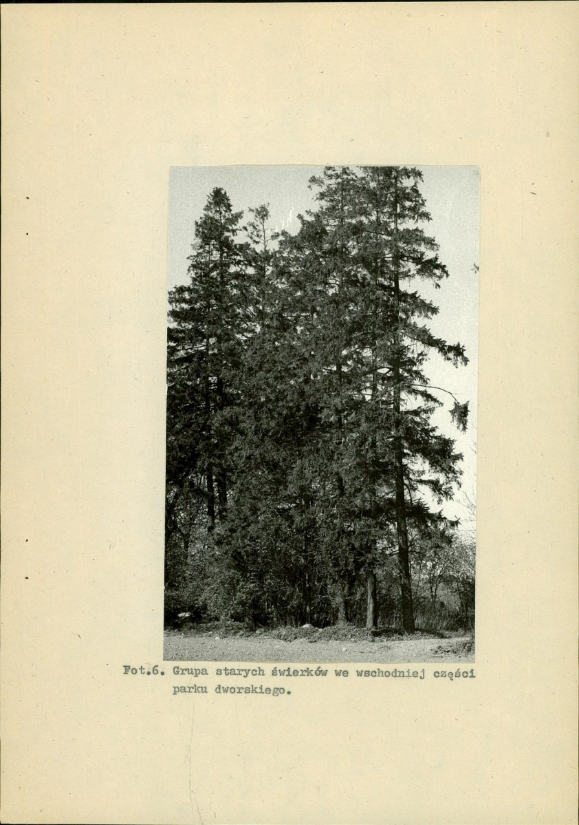 EP - Ewidencja parkowa, skan nr 33