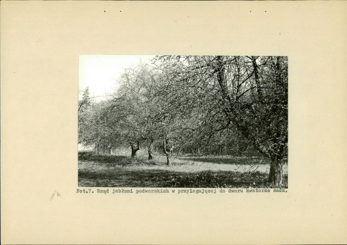 EP - Ewidencja parkowa, skan nr 34