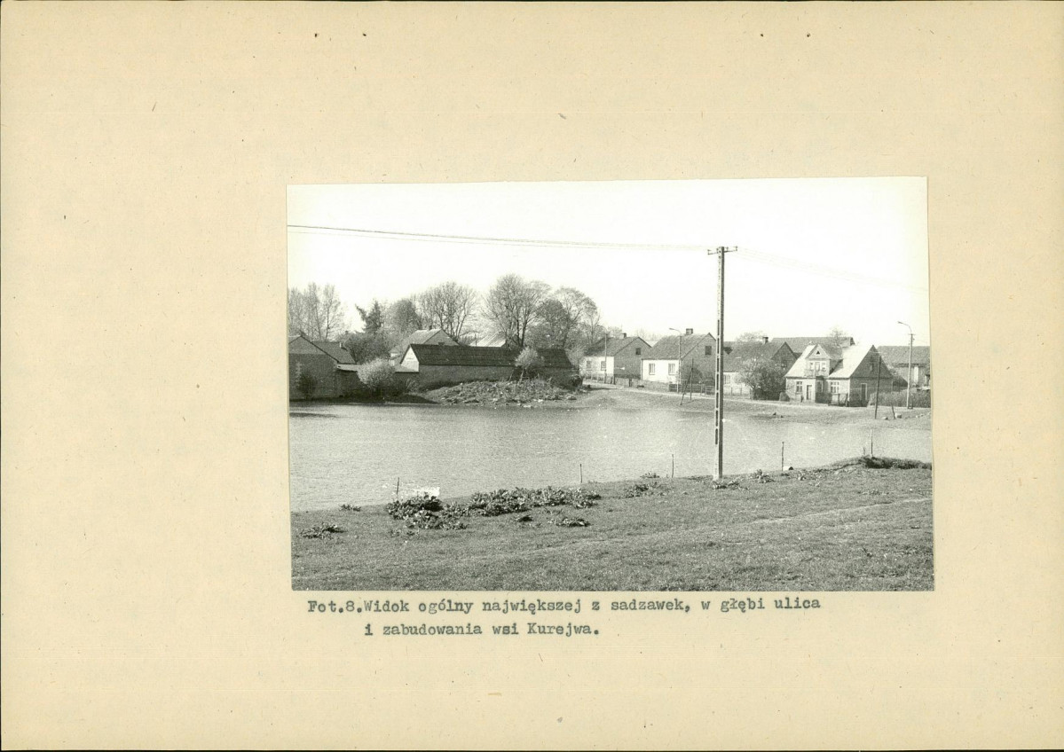 EP - Ewidencja parkowa, skan nr 35