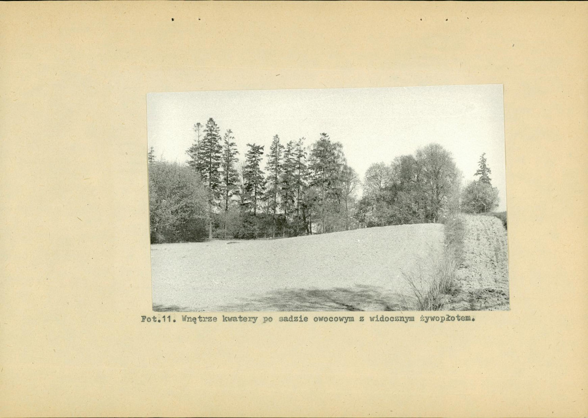 EP - Ewidencja parkowa, skan nr 38