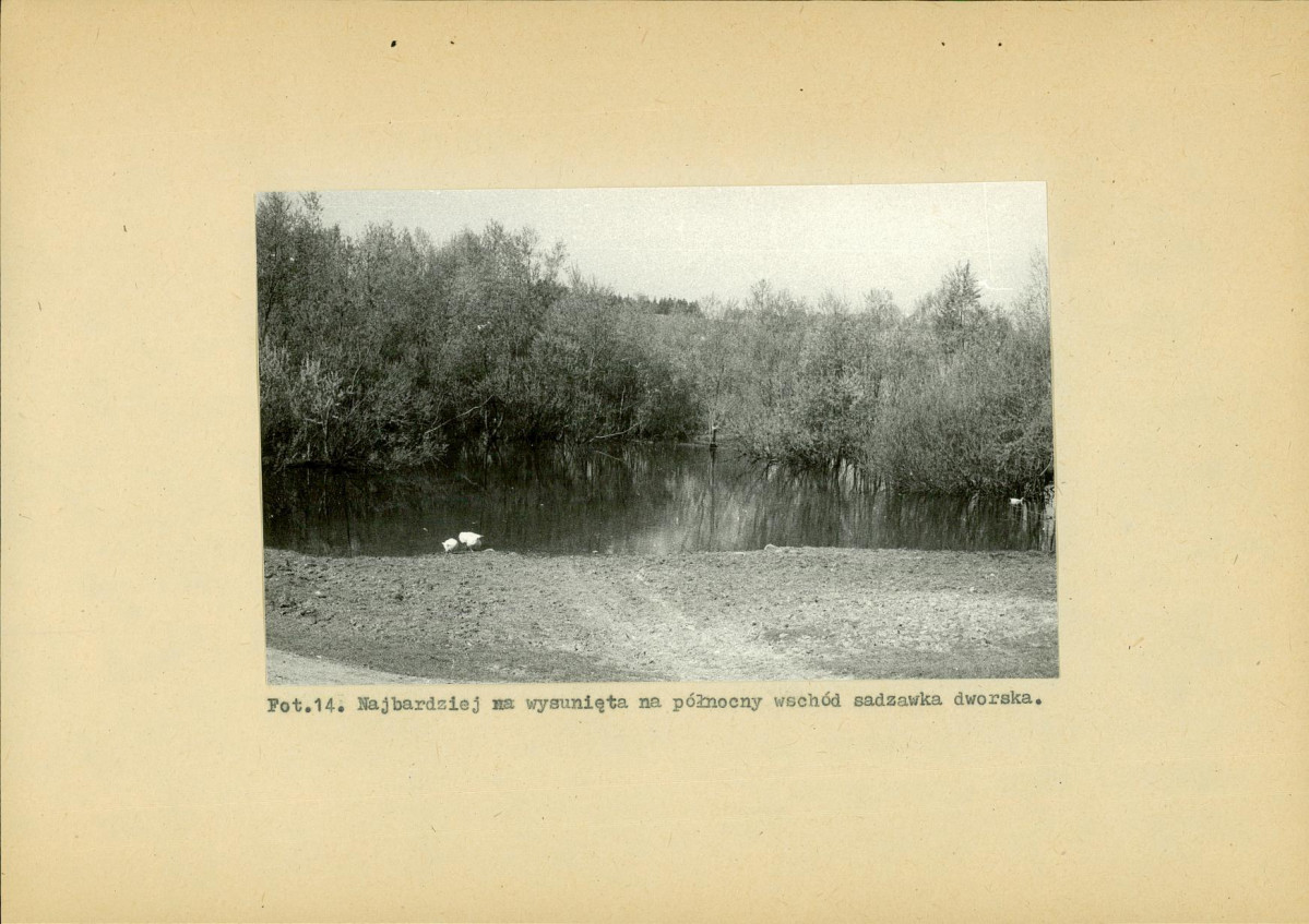 EP - Ewidencja parkowa, skan nr 41