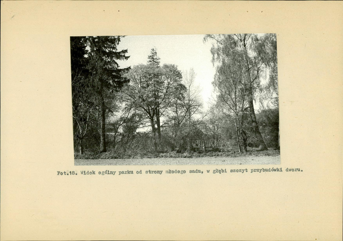 EP - Ewidencja parkowa, skan nr 45