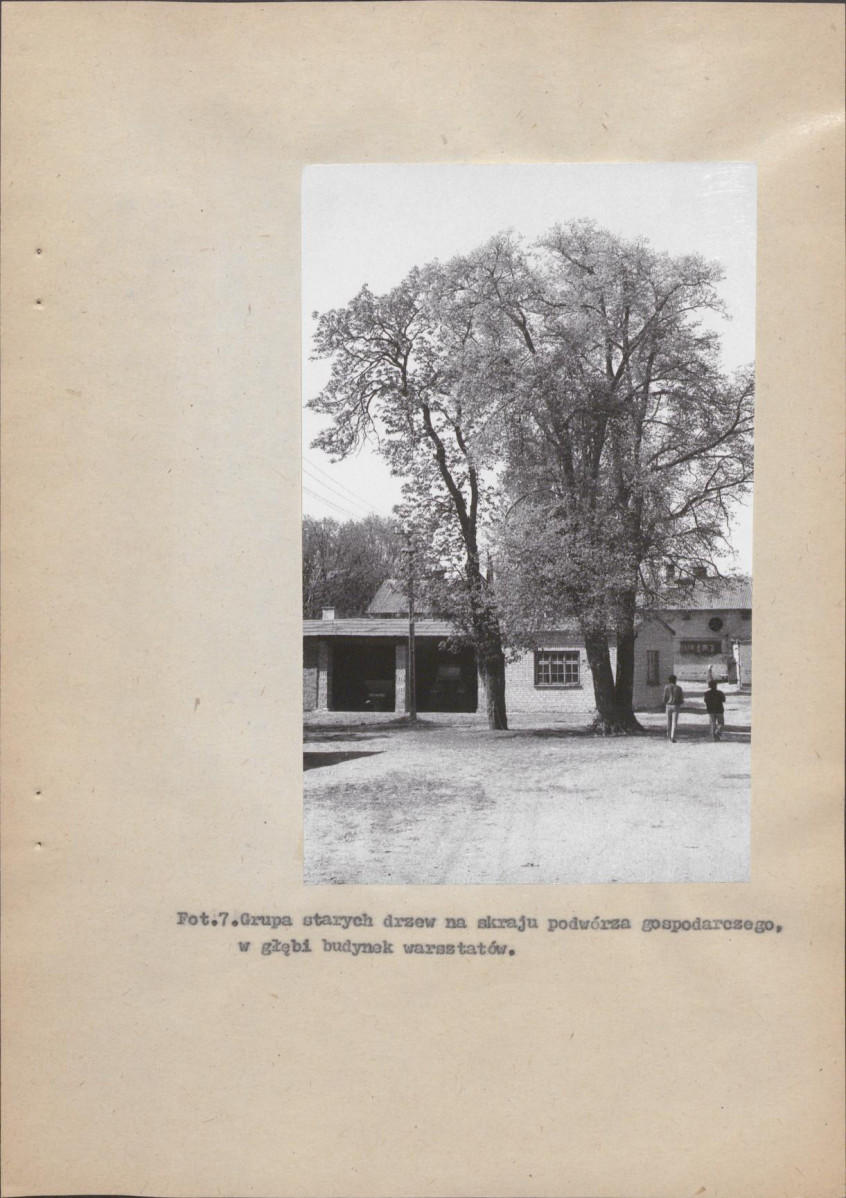 Ewidencja parkowa, skan nr 37