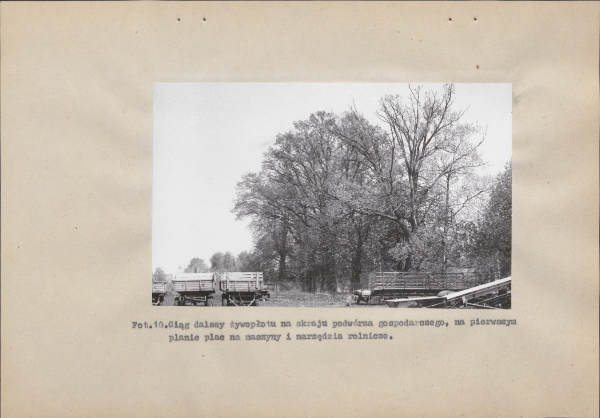 Ewidencja parkowa, skan nr 40