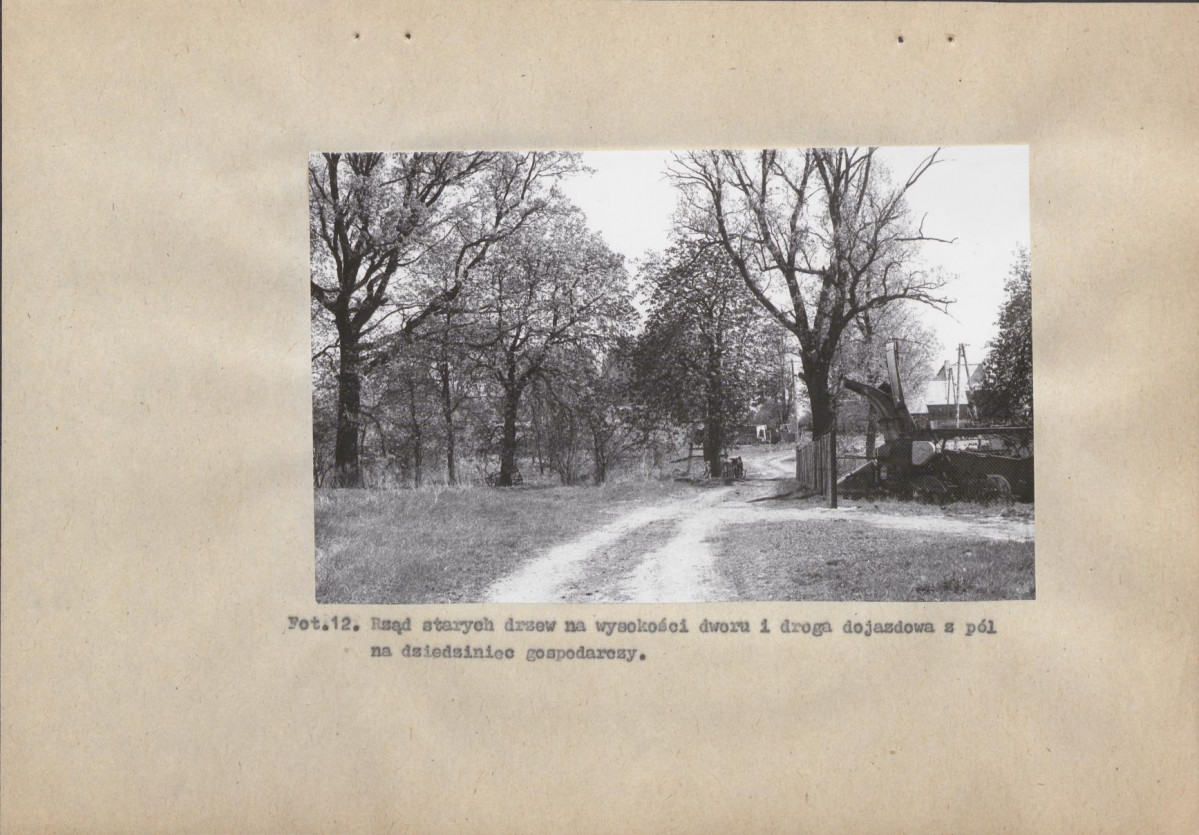 Ewidencja parkowa, skan nr 42