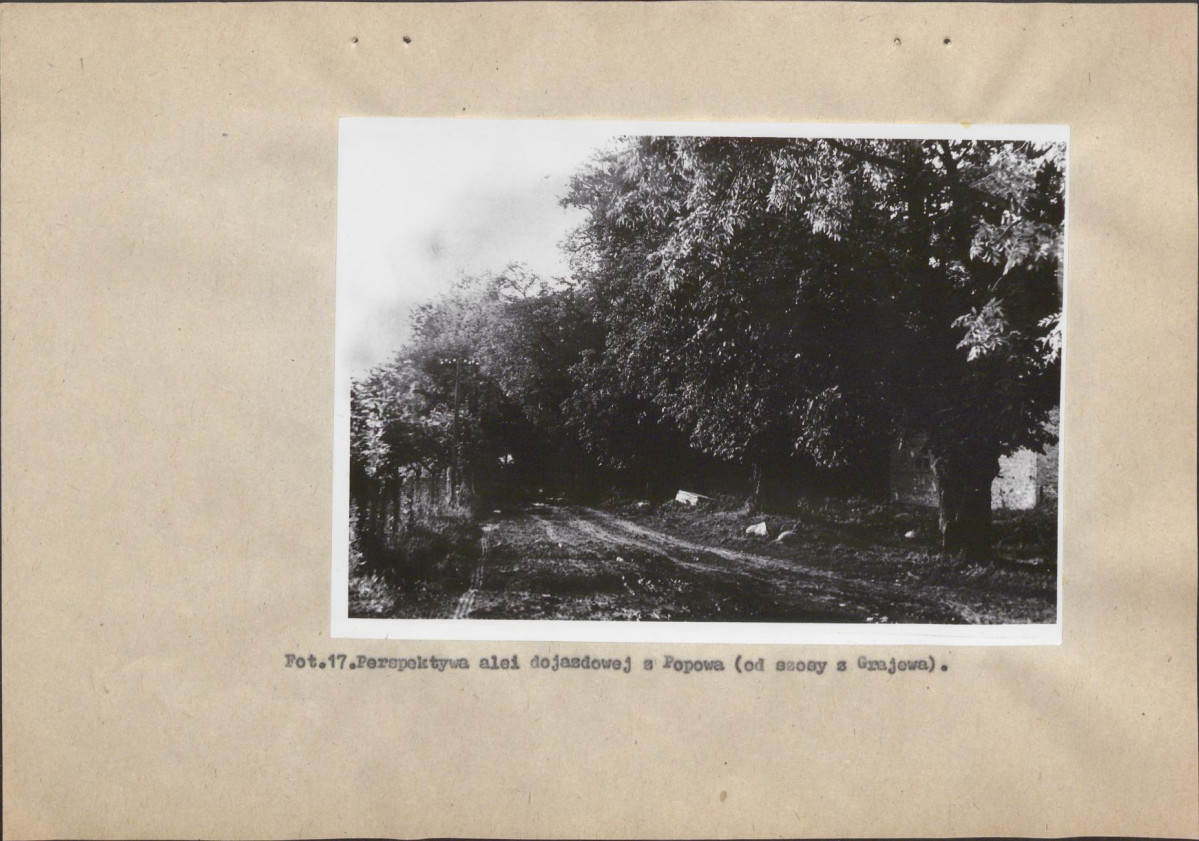 Ewidencja parkowa, skan nr 47