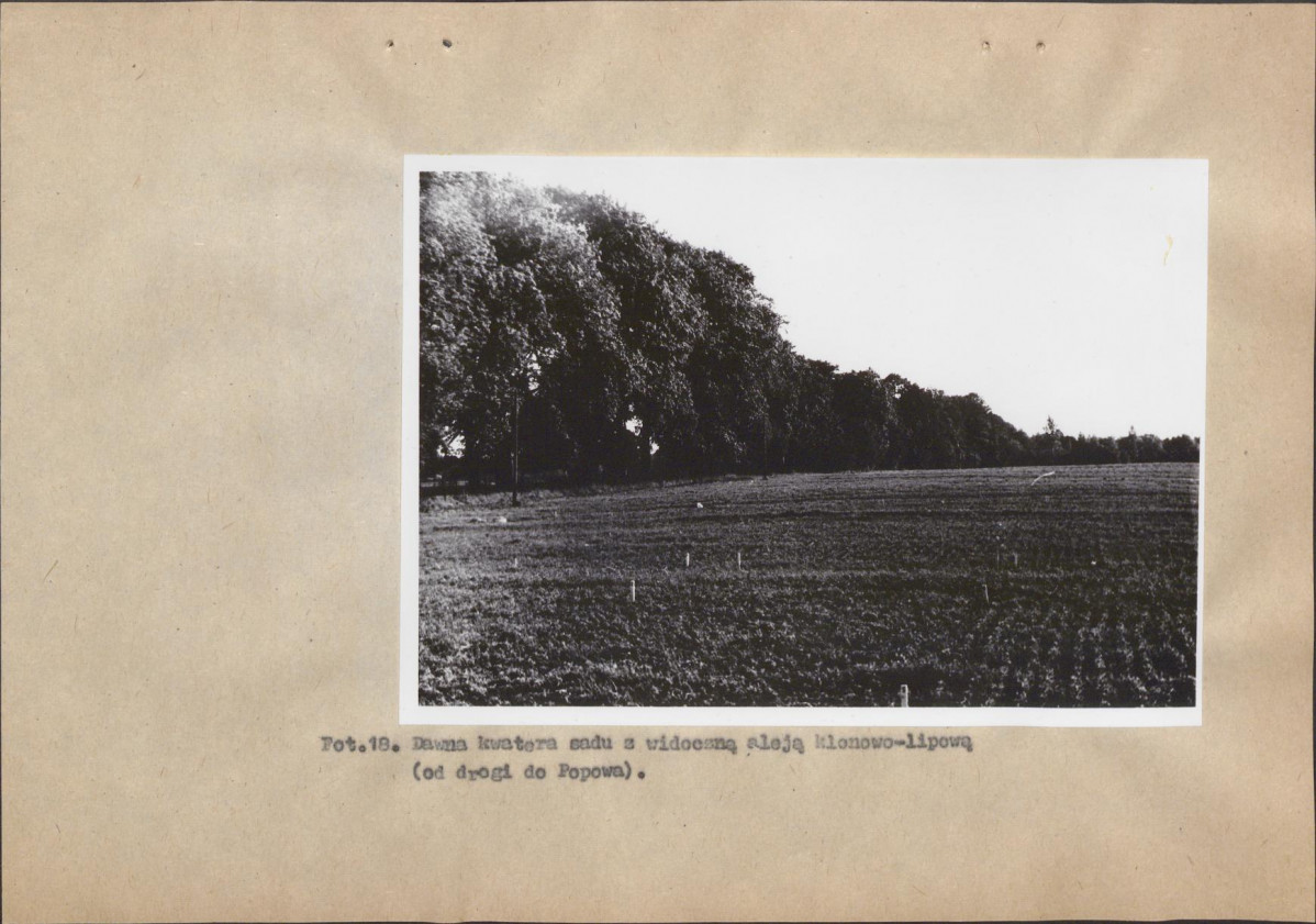 Ewidencja parkowa, skan nr 48