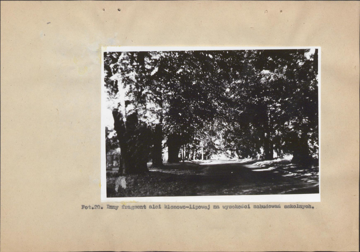 Ewidencja parkowa, skan nr 50