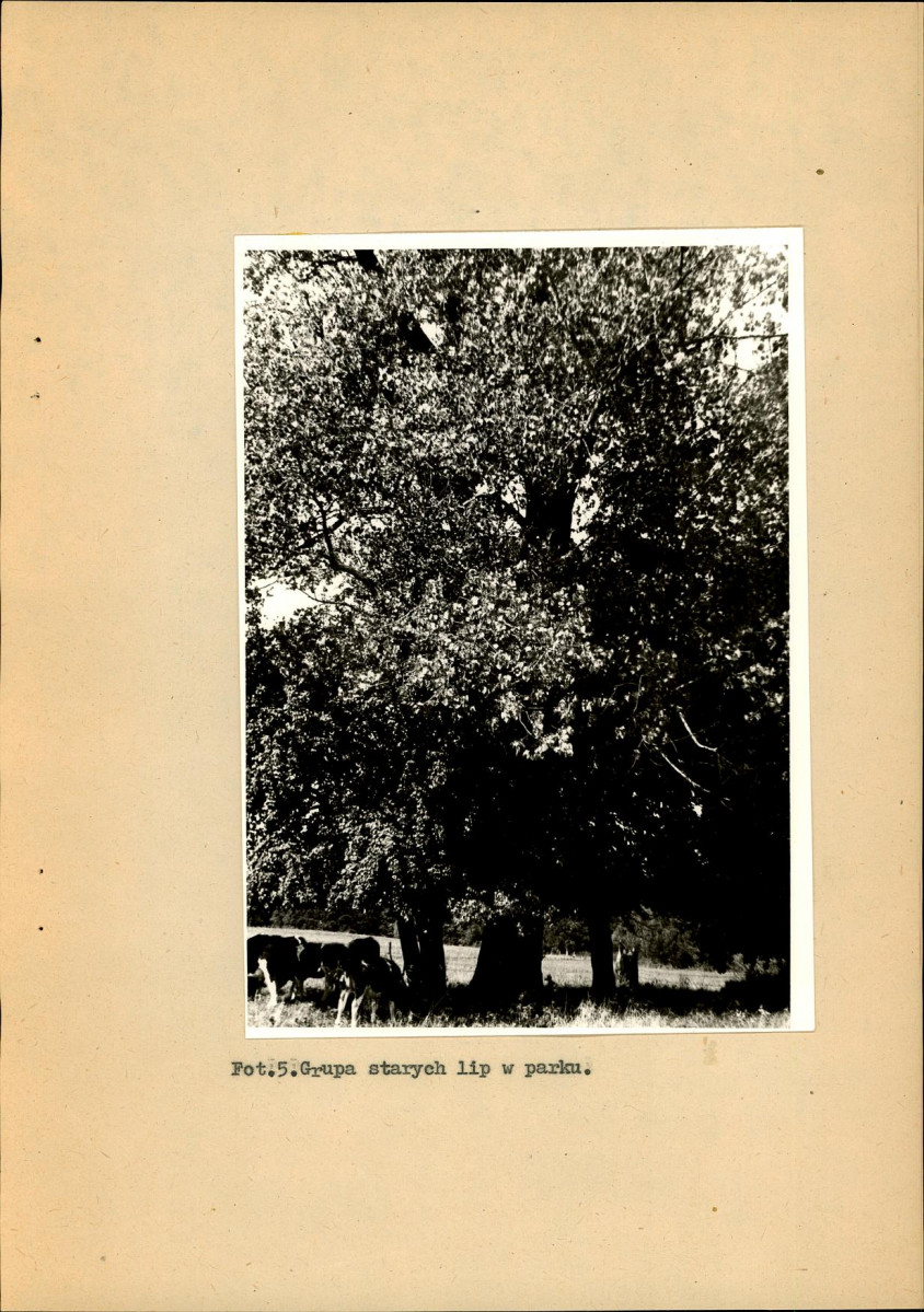 Ewidencja parkowa, skan nr 28