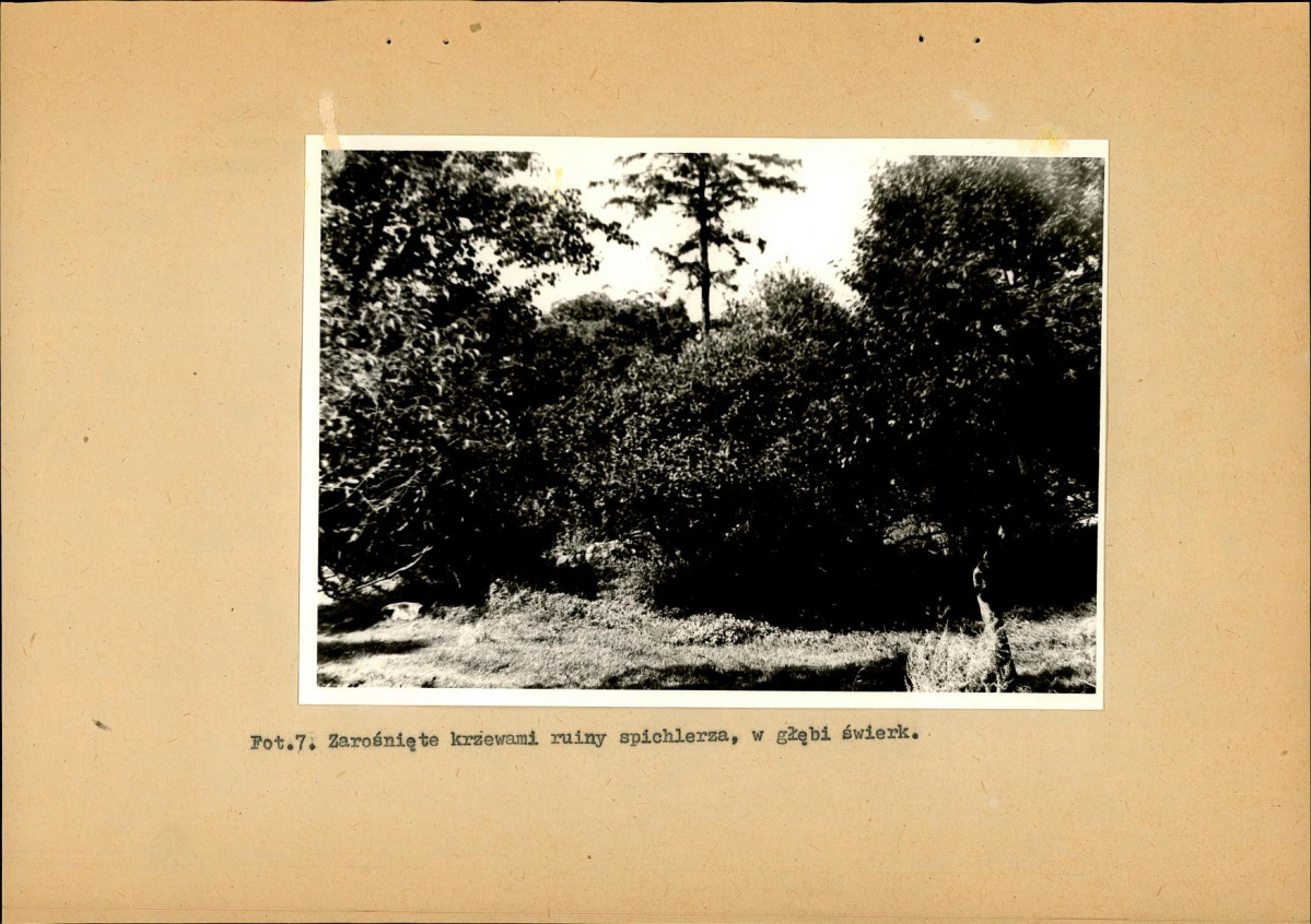 Ewidencja parkowa, skan nr 30