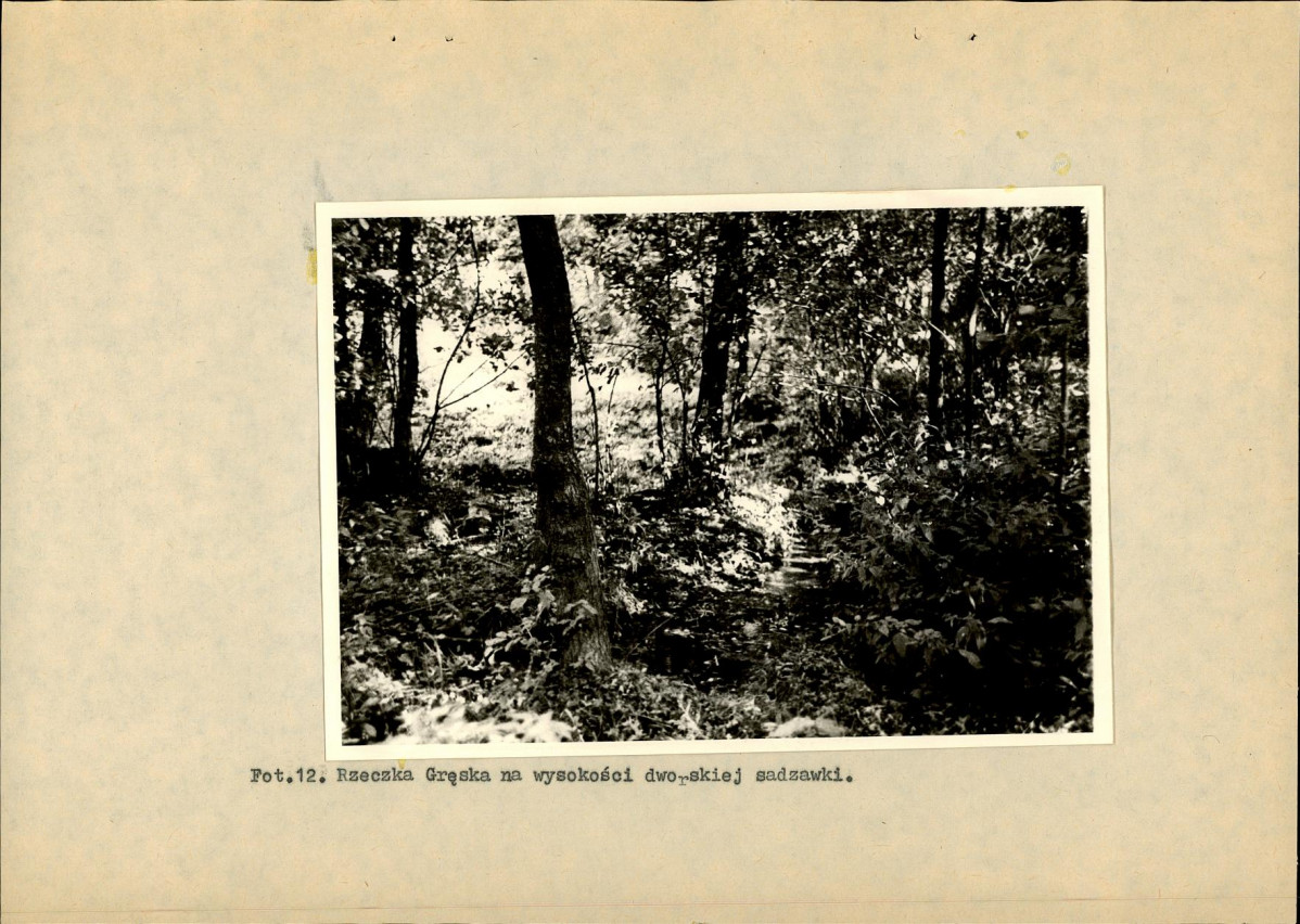 Ewidencja parkowa, skan nr 35