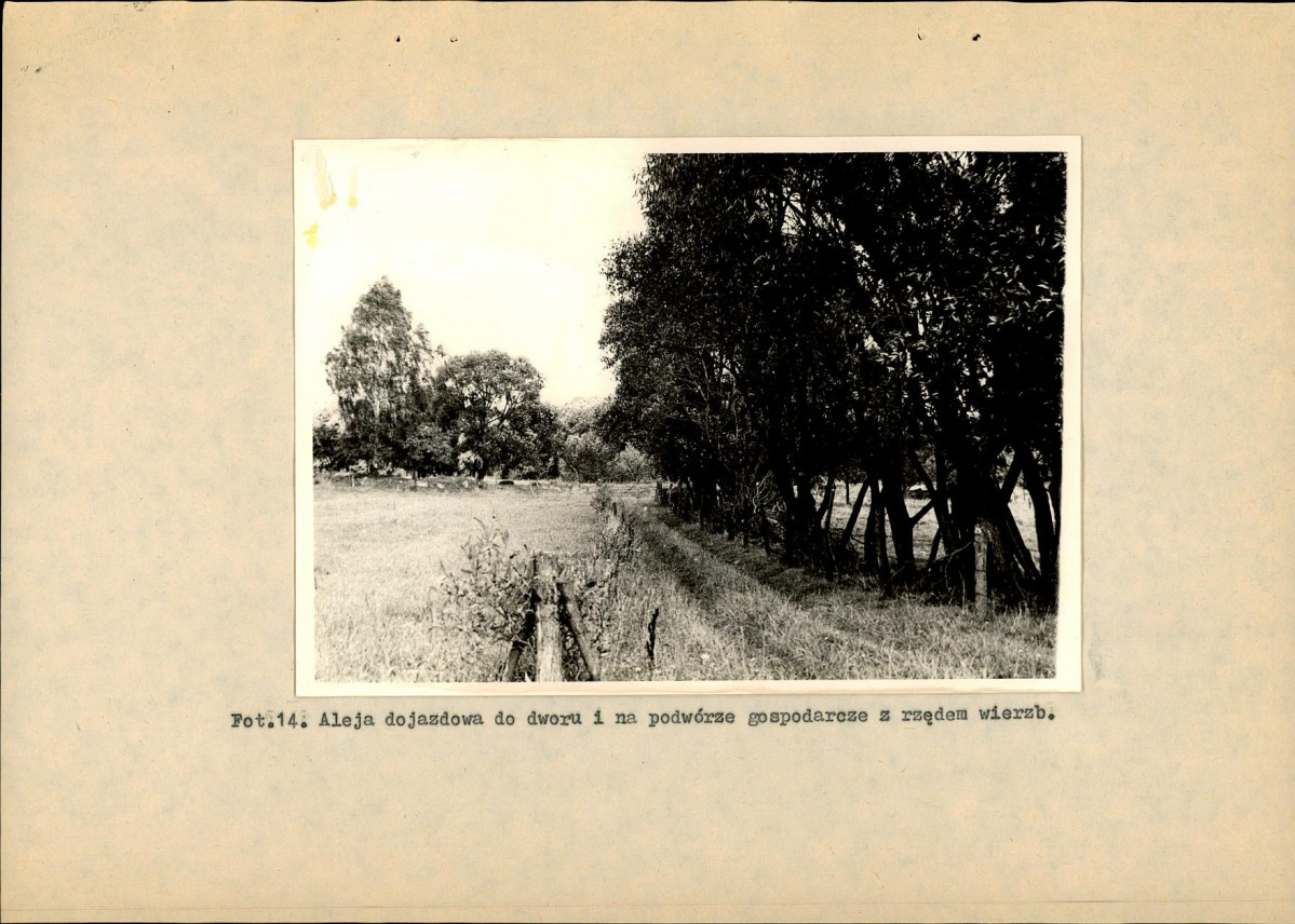 Ewidencja parkowa, skan nr 36