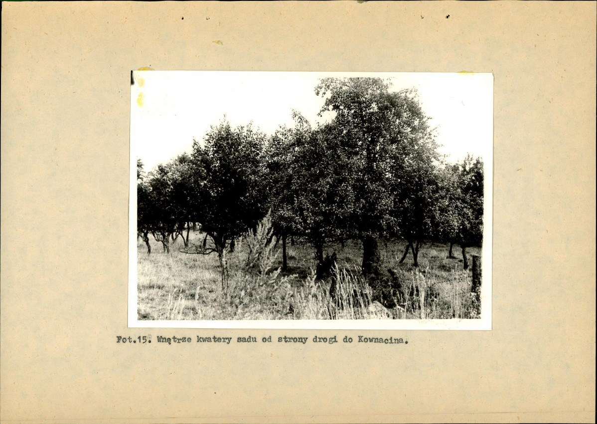 Ewidencja parkowa, skan nr 37