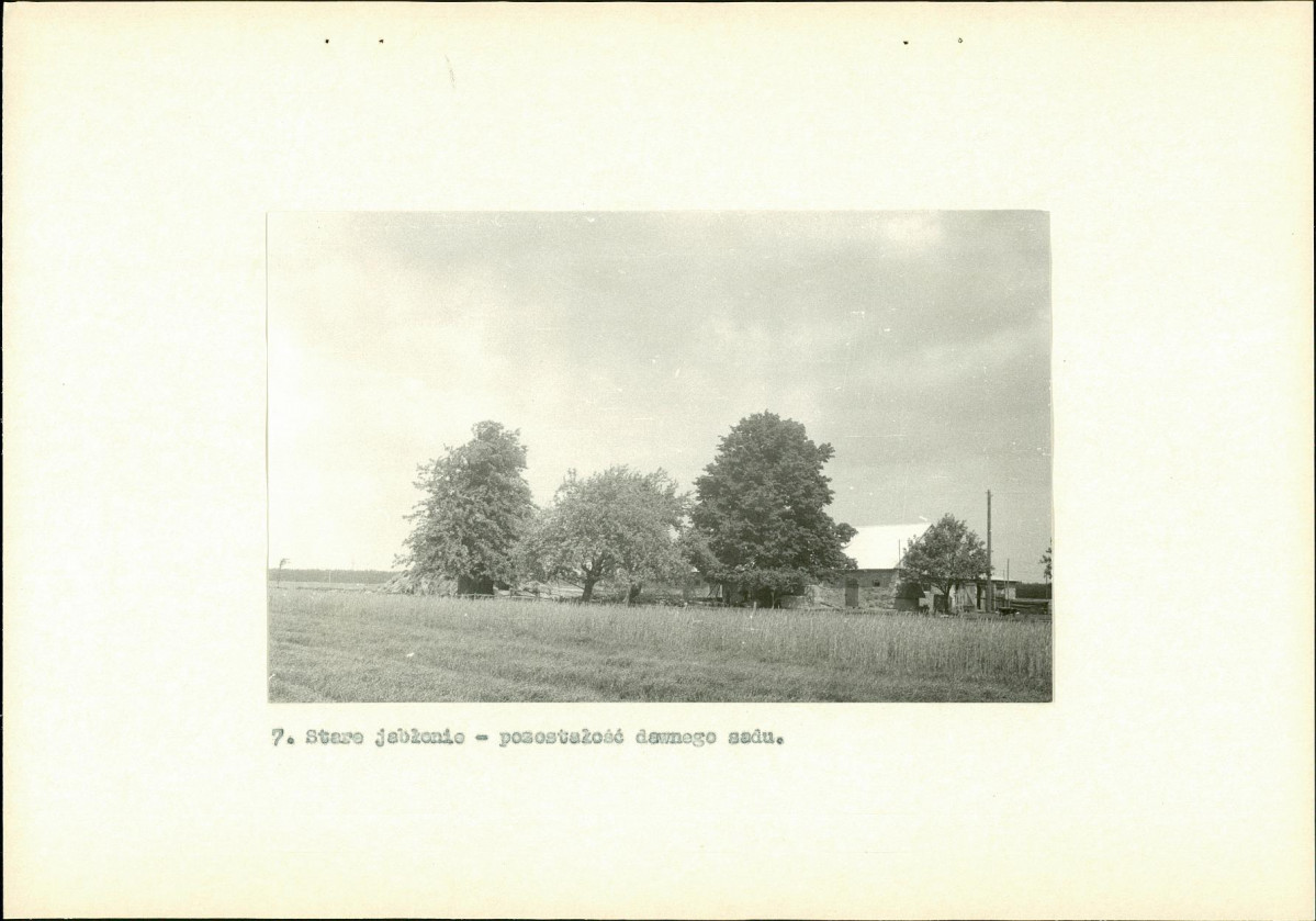 EP - Ewidencja parkowa, skan nr 33