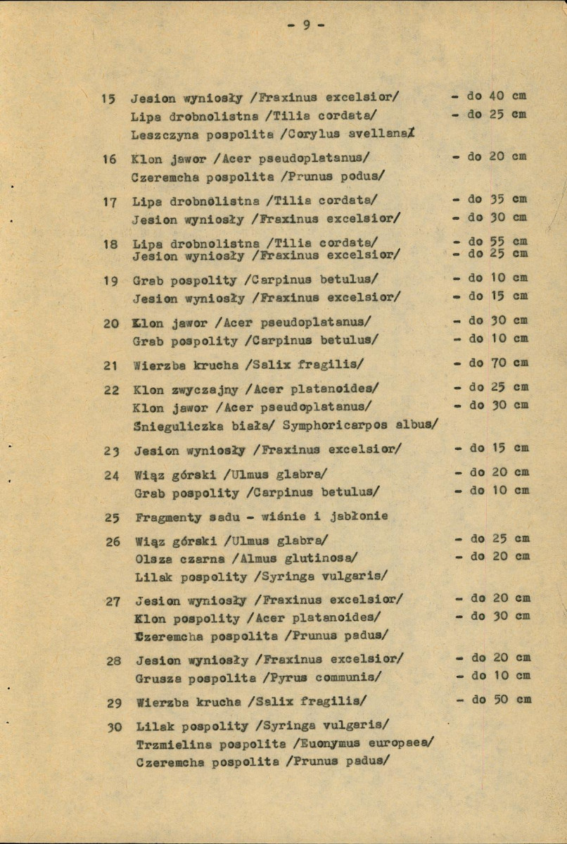 EP - Ewidencja parkowa, skan nr 13