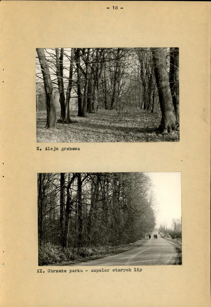 EP - Ewidencja parkowa, skan nr 22