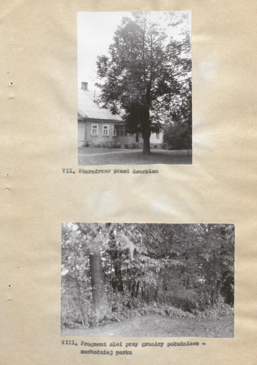 Ewidencja parkowa, skan nr 21