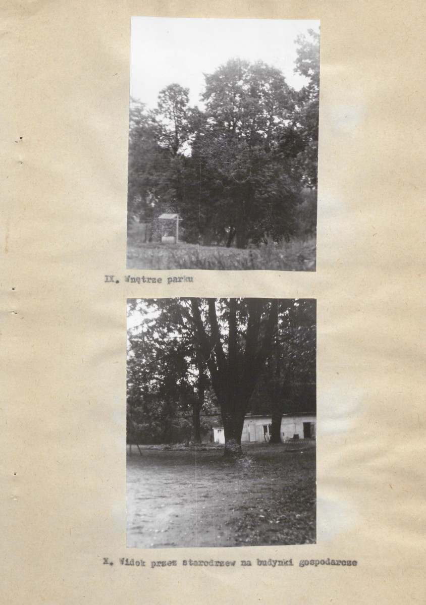 Ewidencja parkowa, skan nr 22